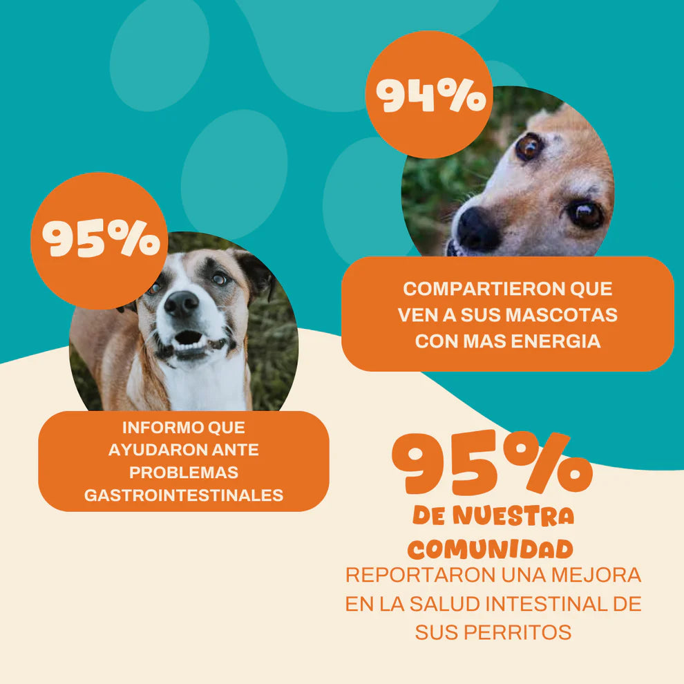 Probióticos para perros #1 en Argentina