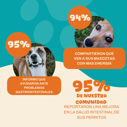 Probióticos para perros #1 en Argentina