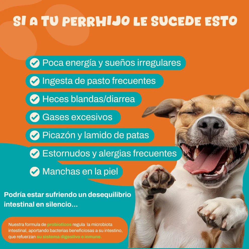 Probióticos para perros #1 en Argentina